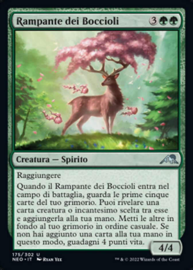 Rampante dei Boccioli