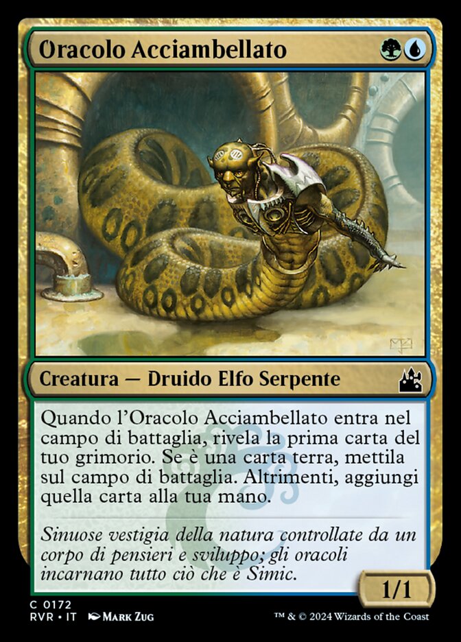 Oracolo Acciambellato