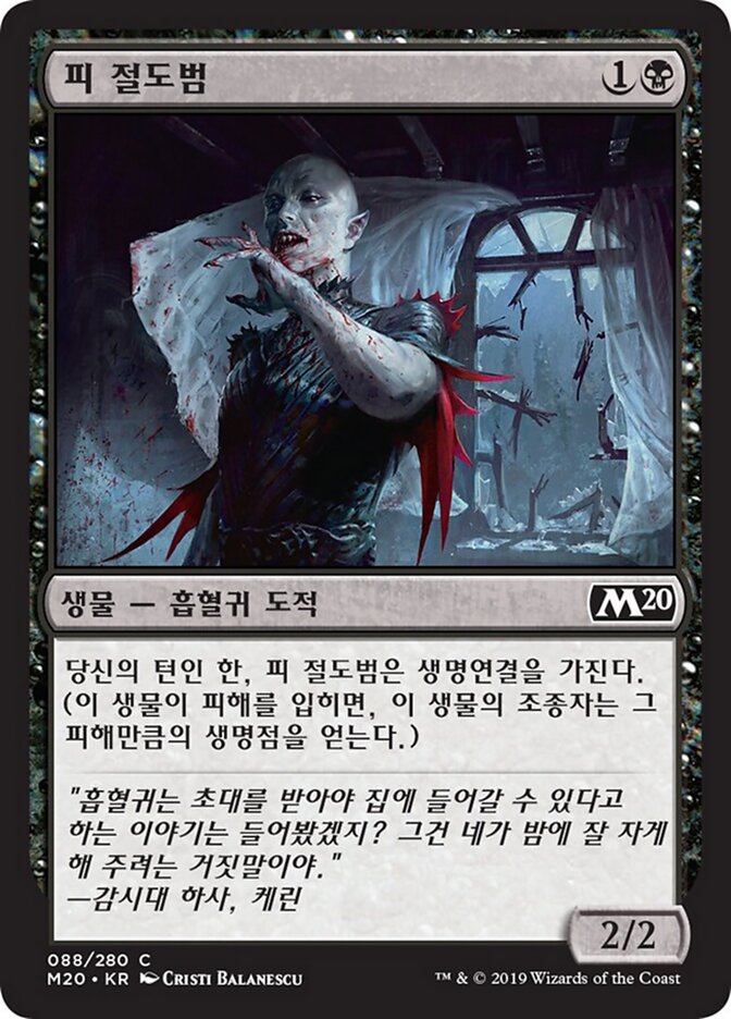 피 절도범