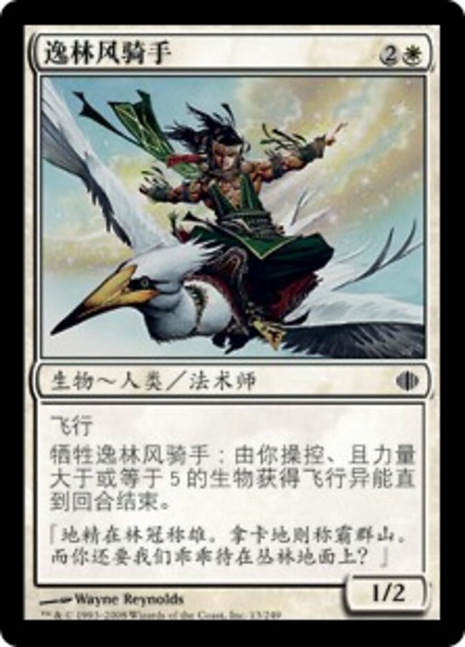 逸林风骑手