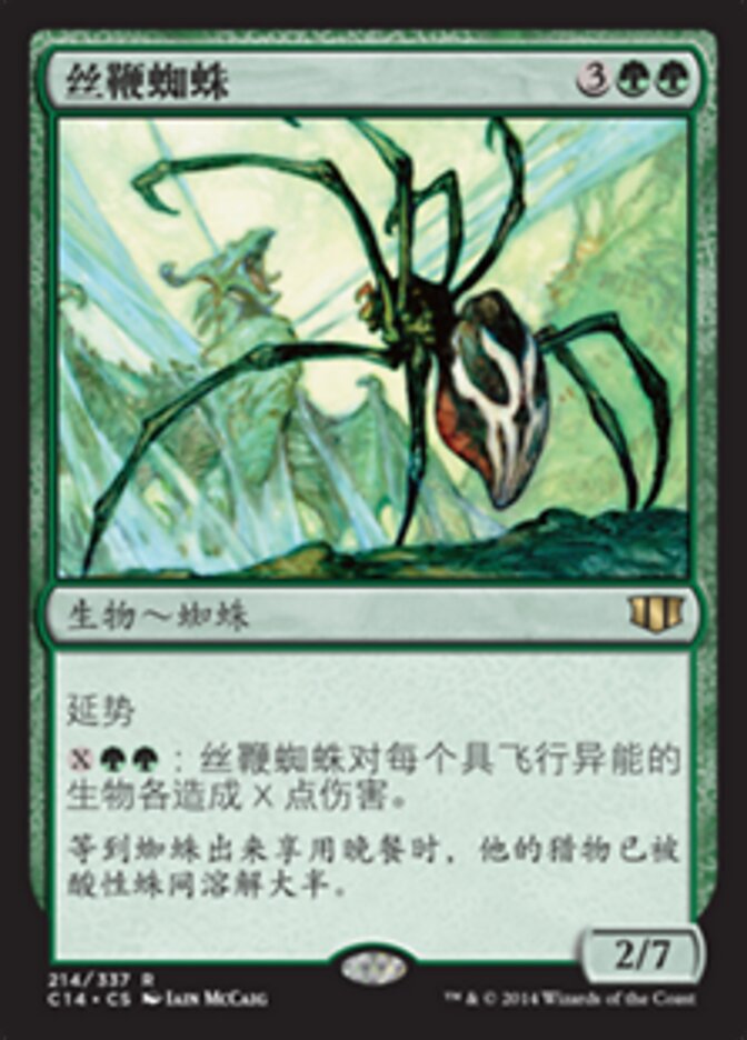丝鞭蜘蛛