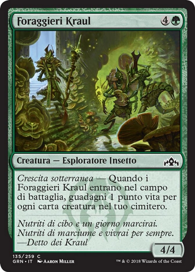 Foraggieri Kraul
