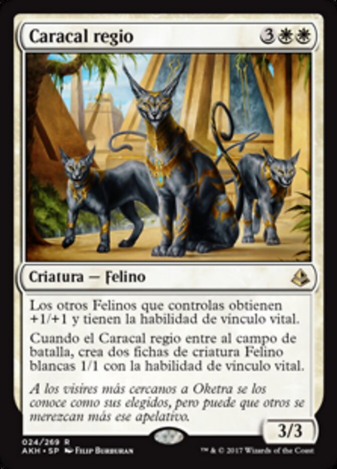 Caracal regio