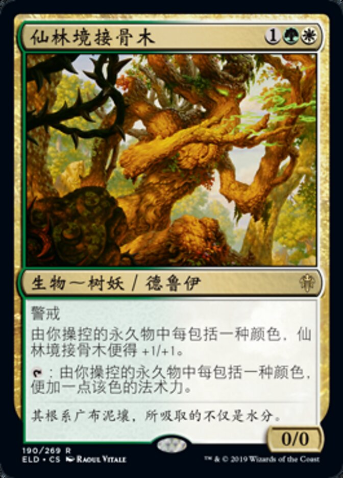 仙林境接骨木