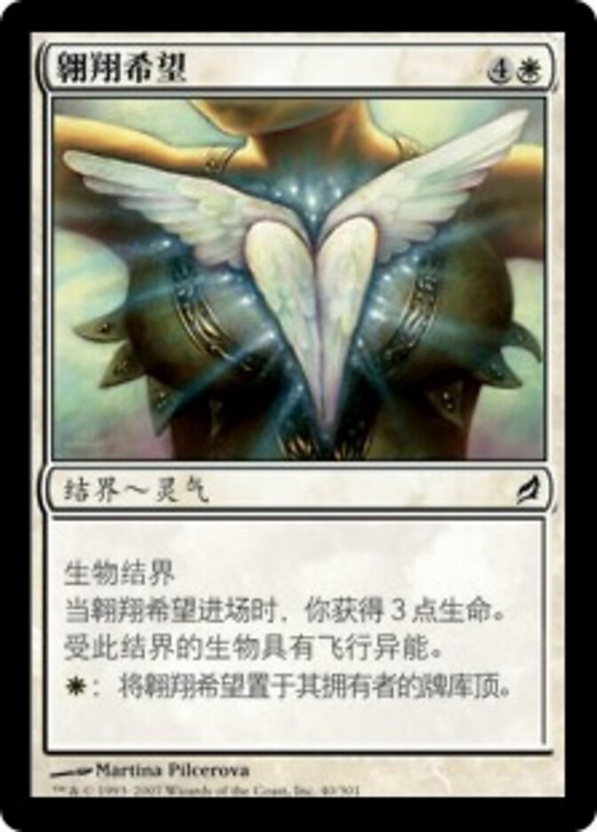 翱翔希望