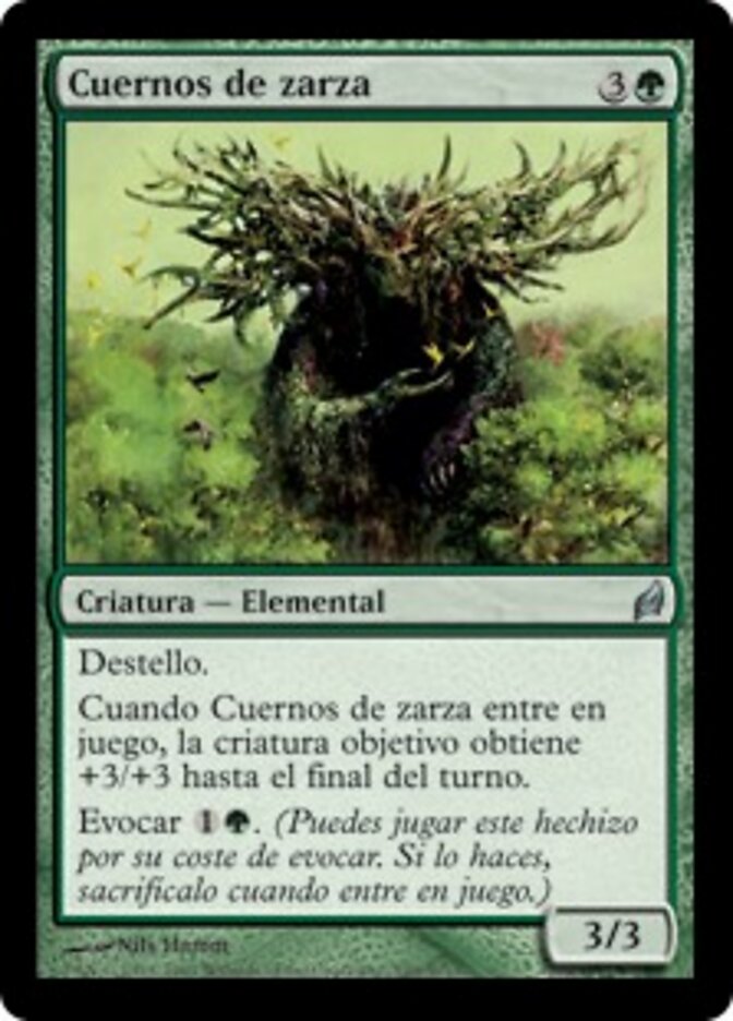 Cuernos de zarza