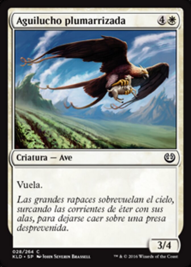Aguilucho plumarrizada