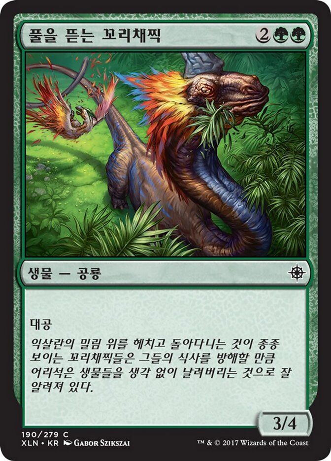 풀을 뜯는 꼬리채찍
