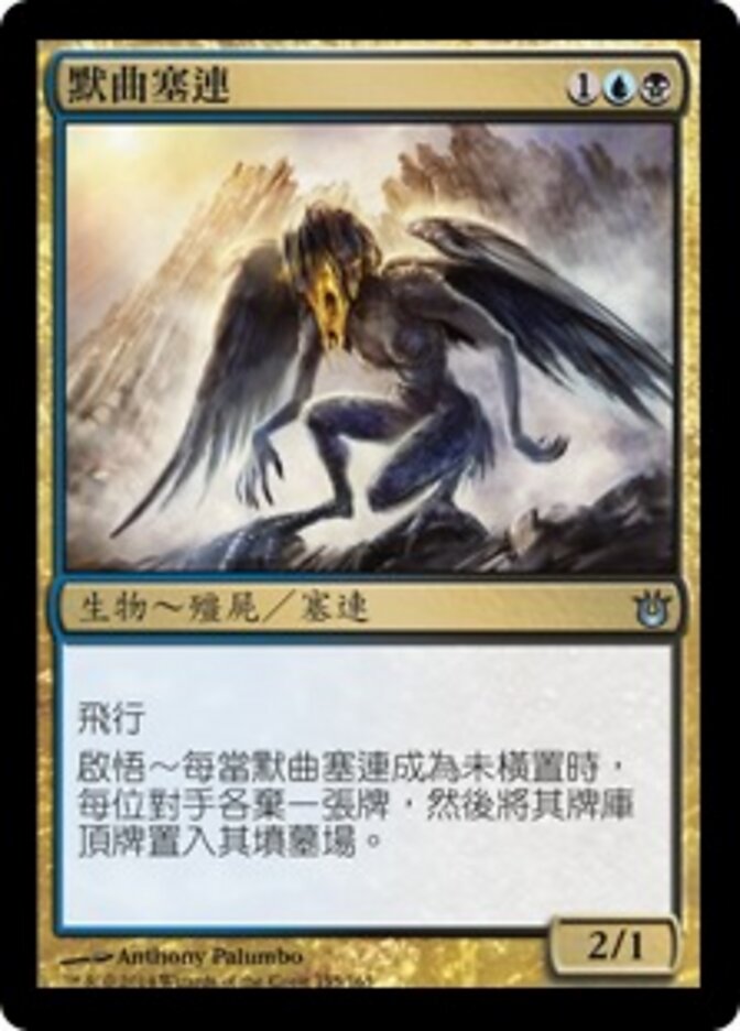 默曲塞連