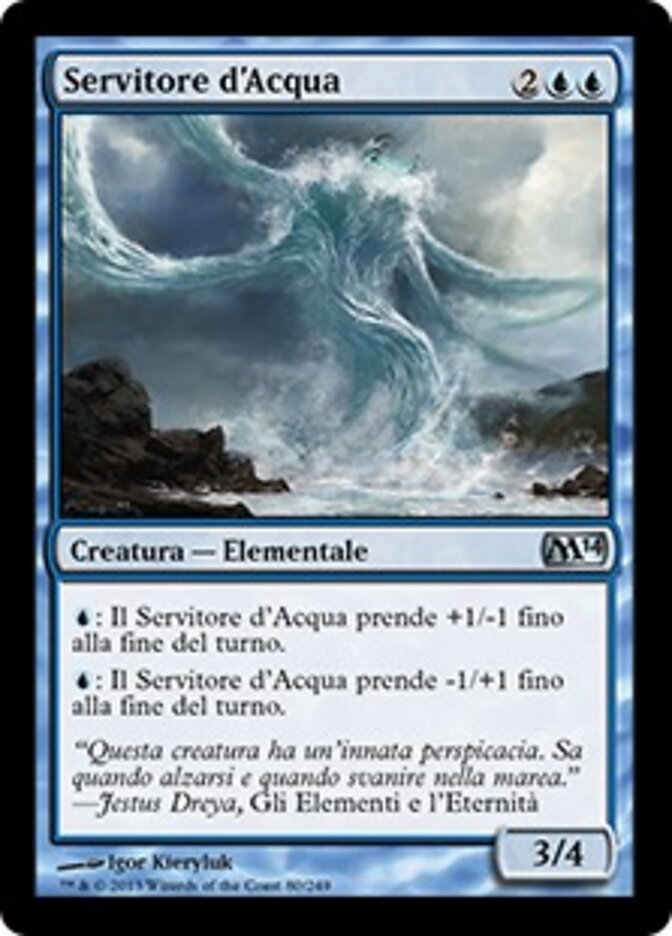 Servitore d'Acqua