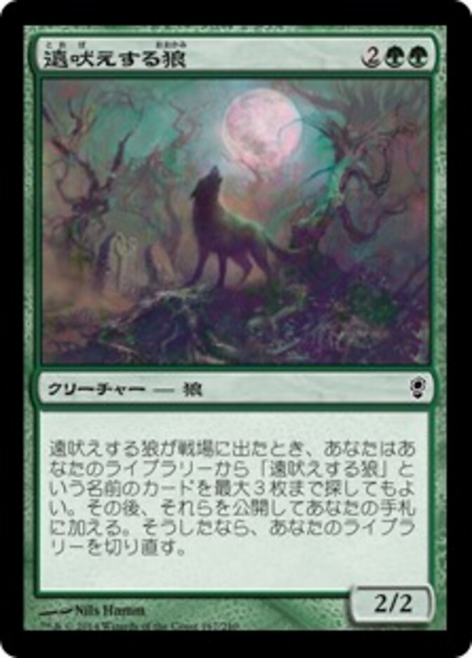 遠吠えする狼