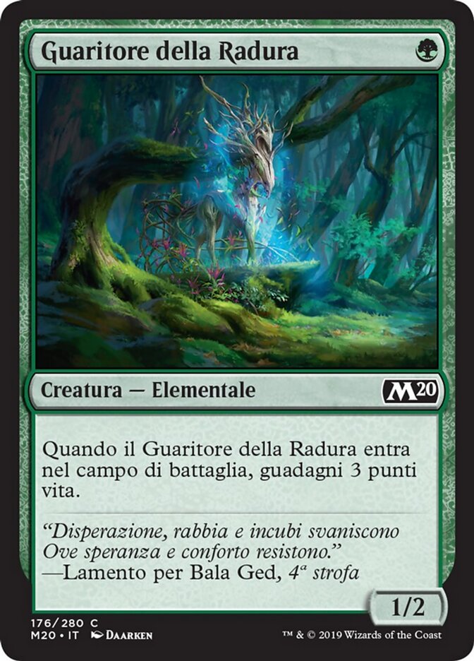 Guaritore della Radura