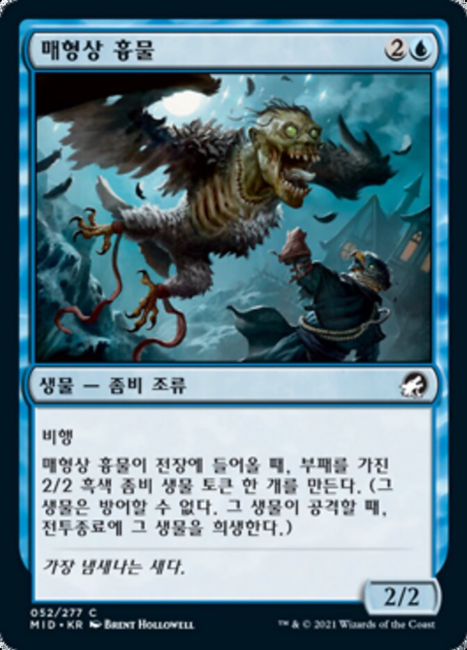 매형상 흉물