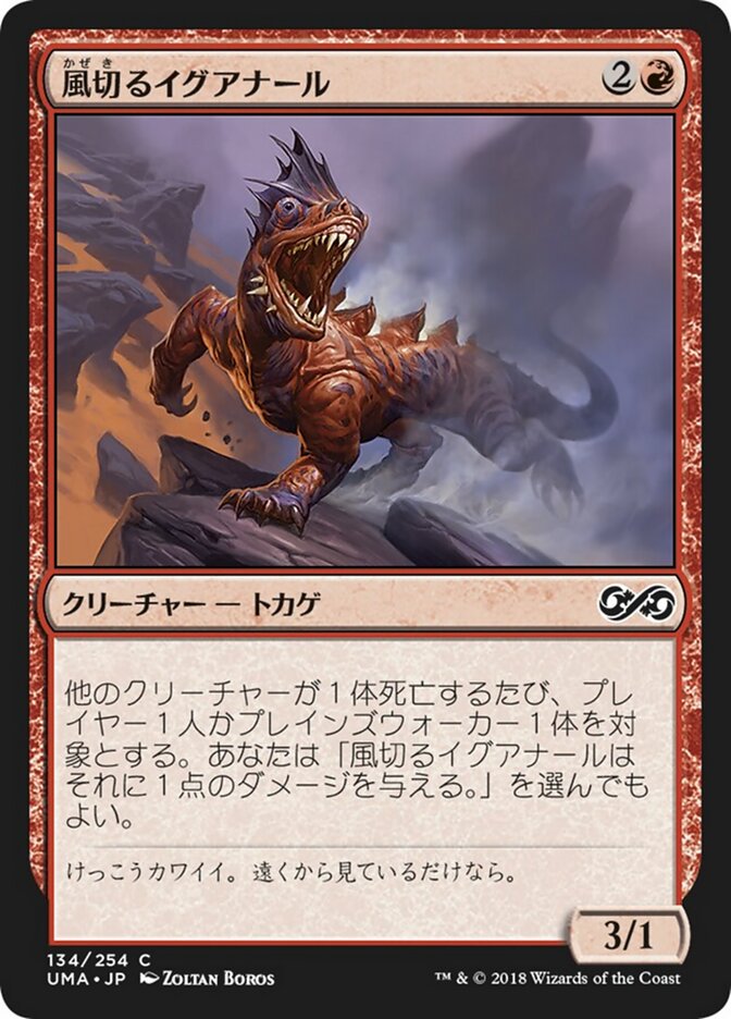 風切るイグアナール