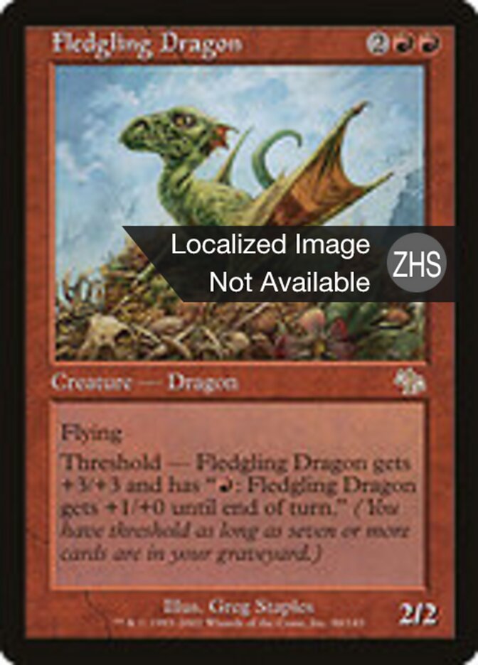 Fledgling Dragon