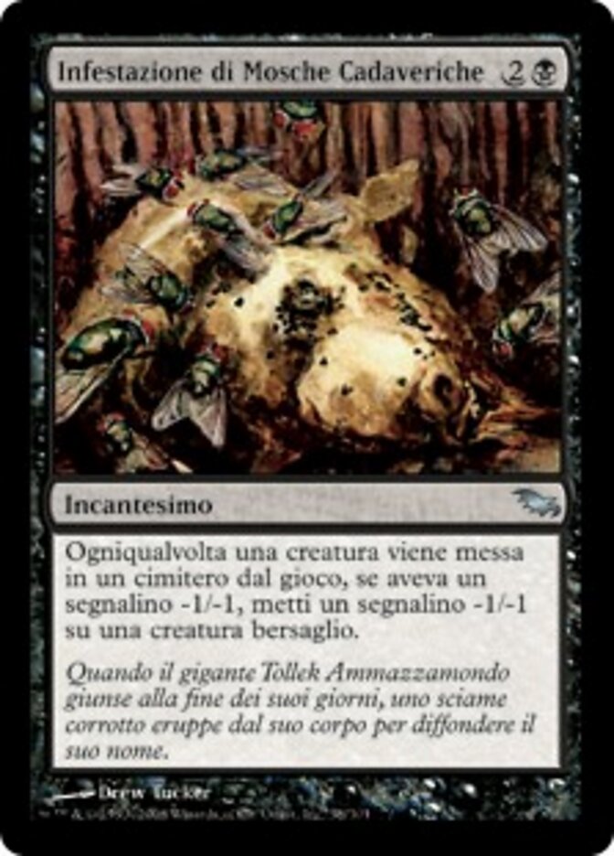 Infestazione di Mosche Cadaveriche