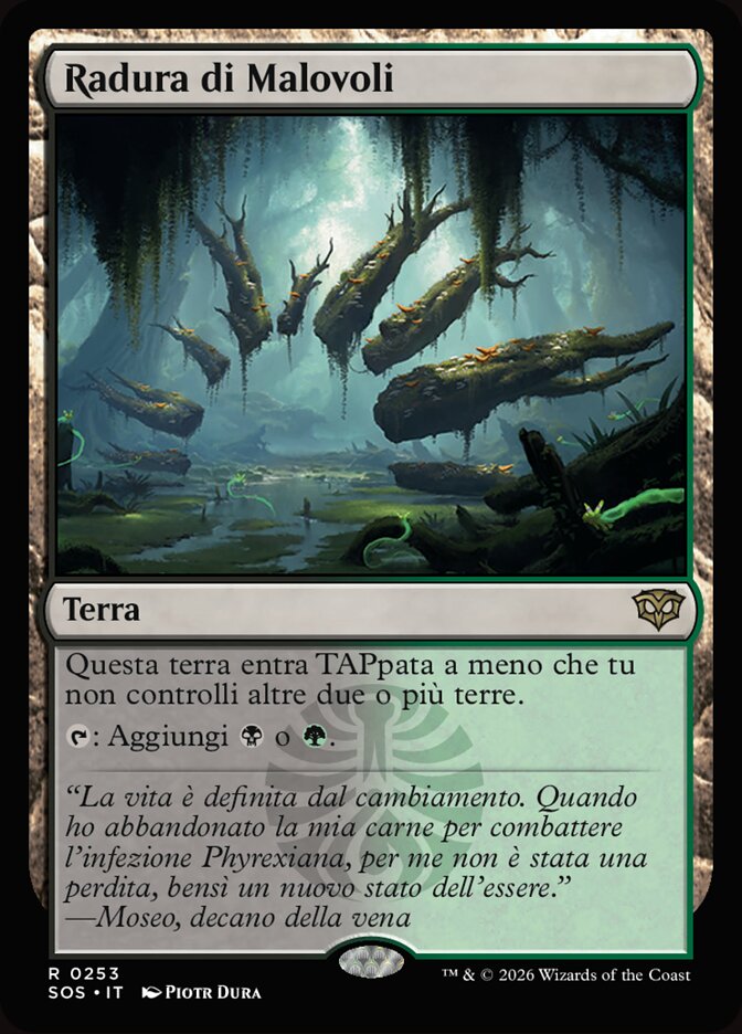 Radura di Malovoli