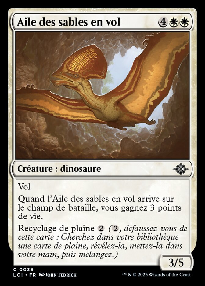 Aile des sables en vol