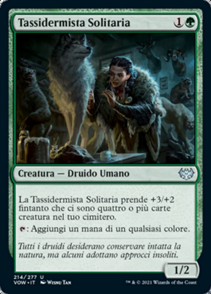 Tassidermista Solitaria