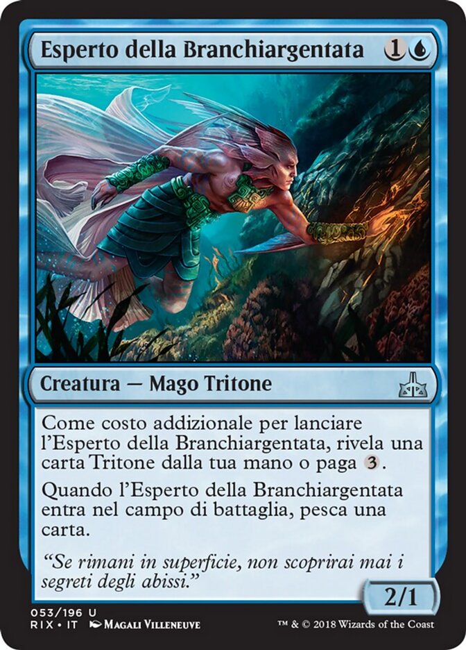 Esperto della Branchiargentata