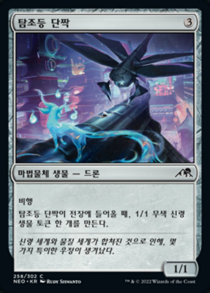 탐조등 단짝
