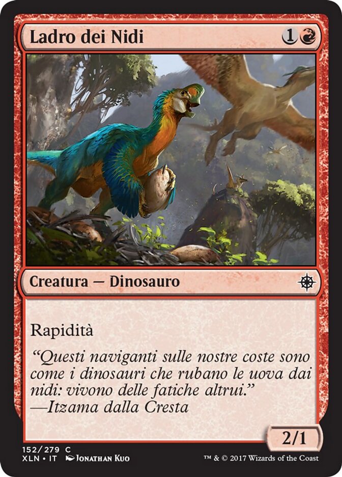 Ladro dei Nidi