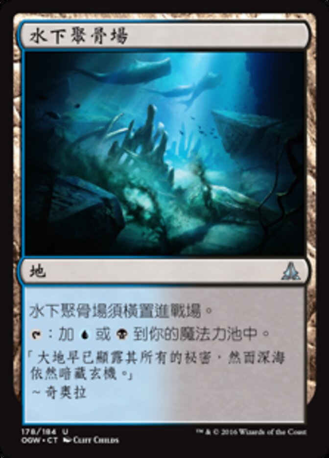 水下聚骨場
