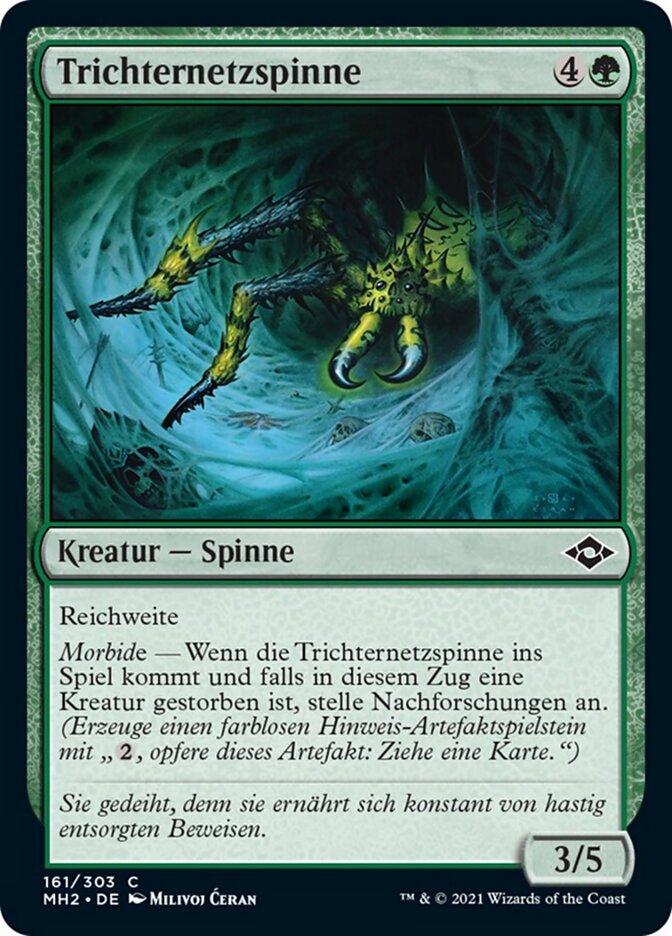 Trichternetzspinne