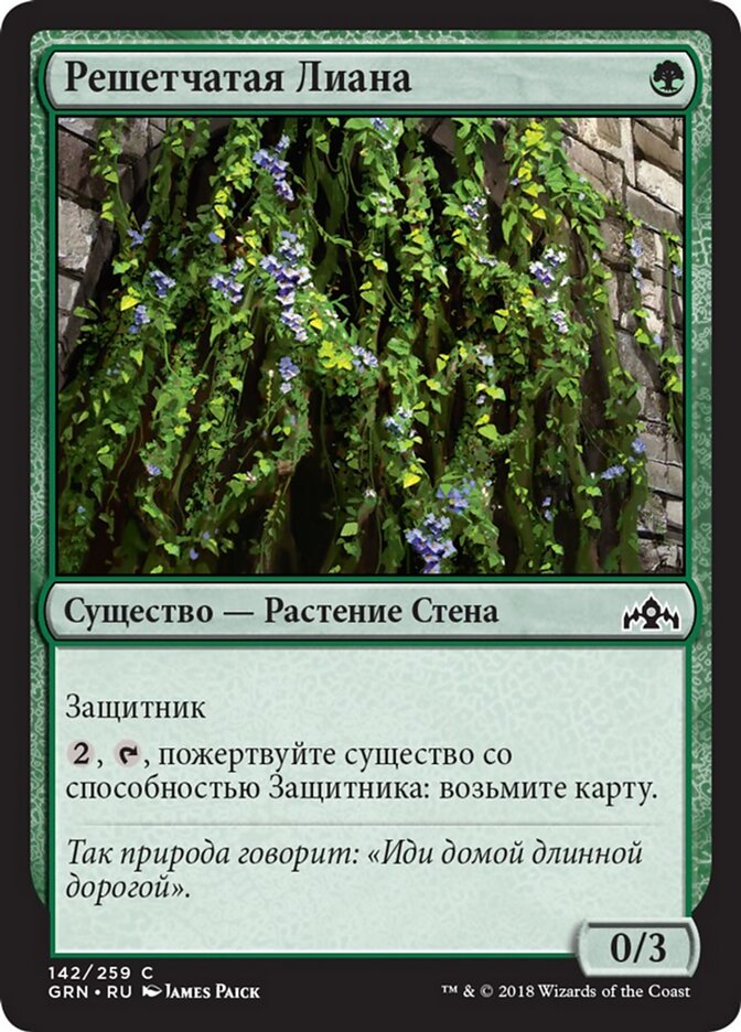 Решетчатая Лиана