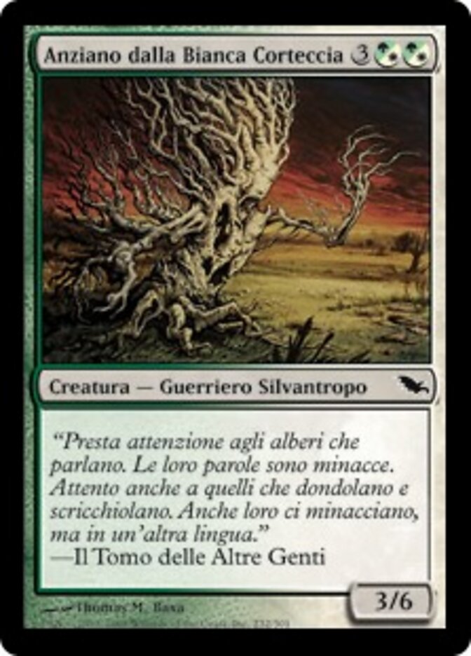Anziano dalla Bianca Corteccia