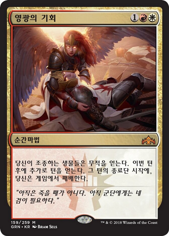 영광의 기회