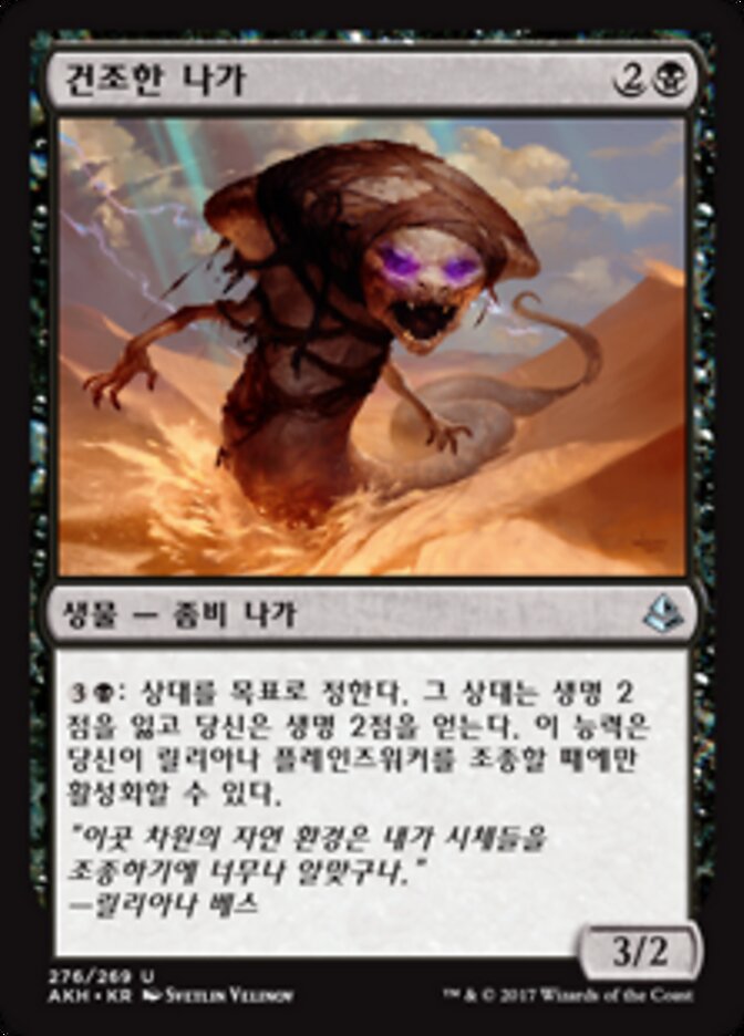 건조한 나가