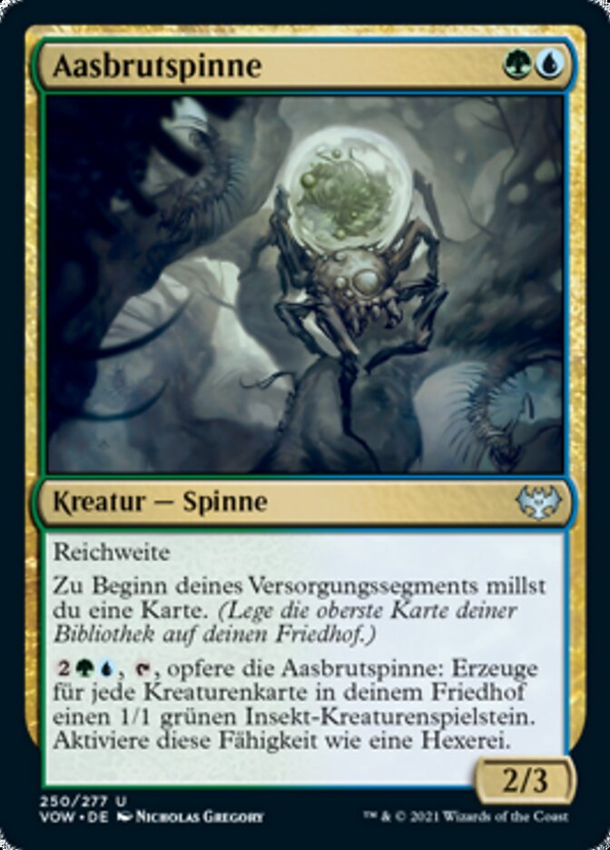 Aasbrutspinne