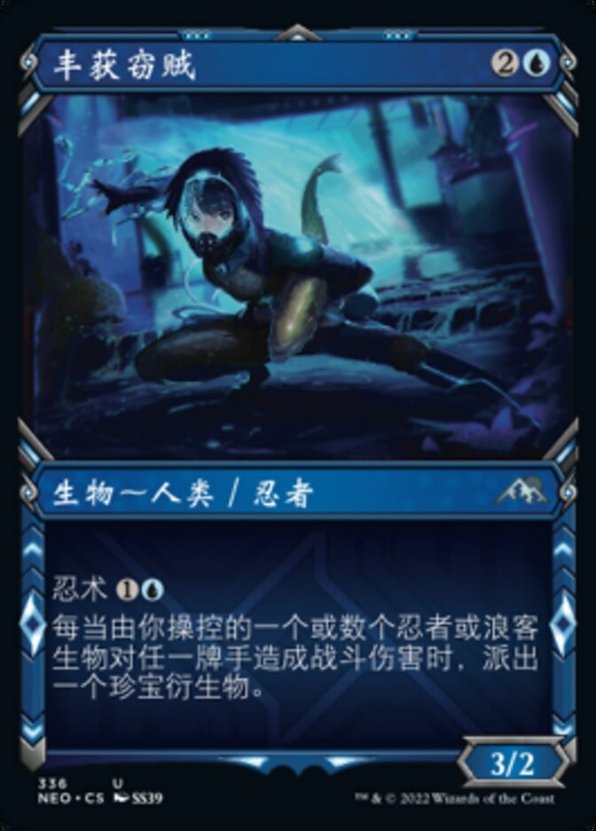 丰获窃贼