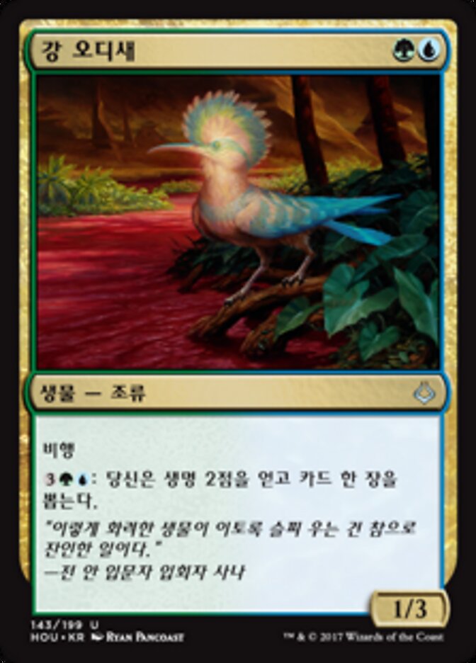 강 오디새