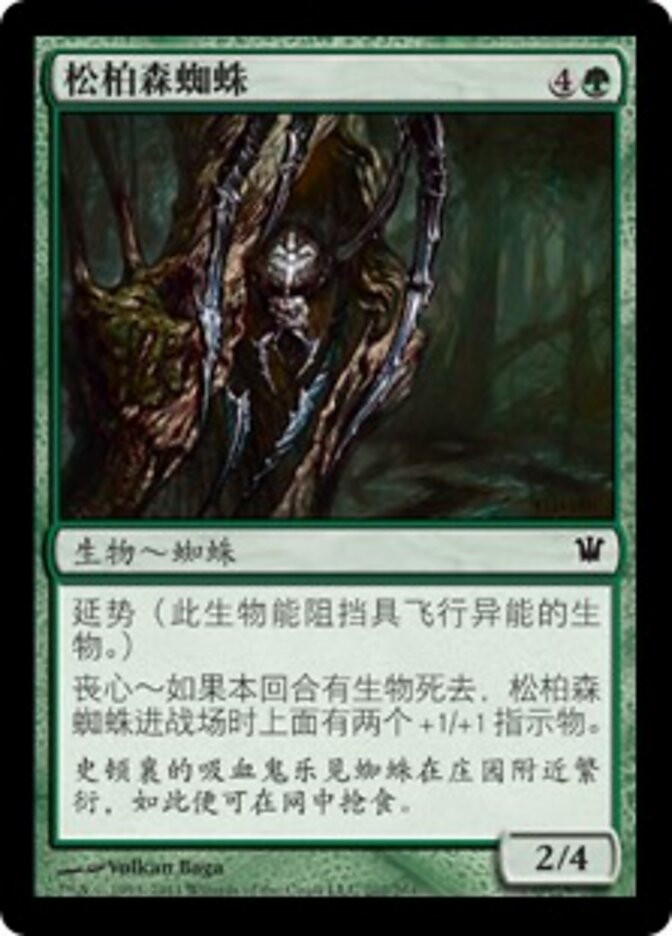 松柏森蜘蛛