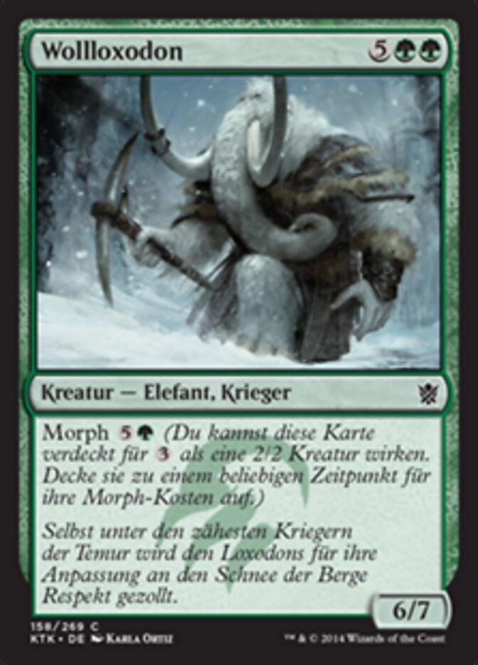Wollloxodon