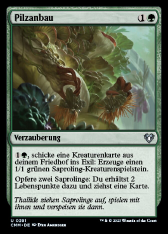 Pilzanbau