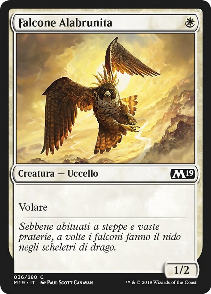 Falcone Alabrunita