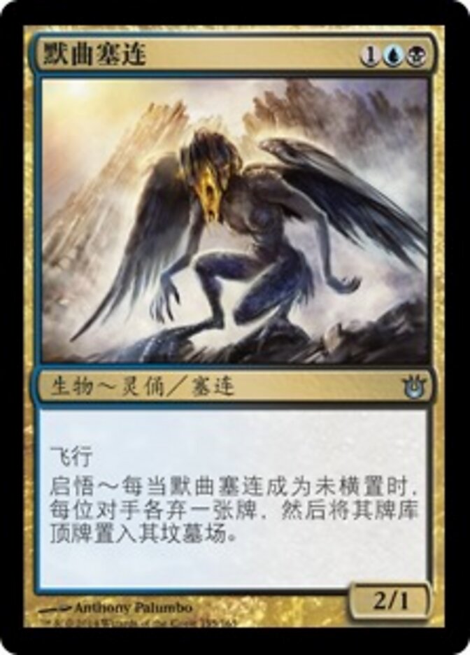 默曲塞连