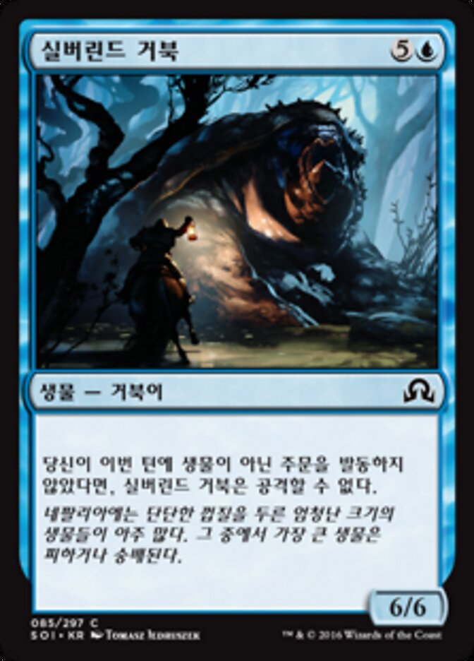 실버린드 거북