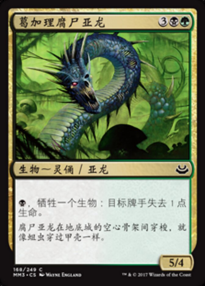 葛加理腐尸亚龙