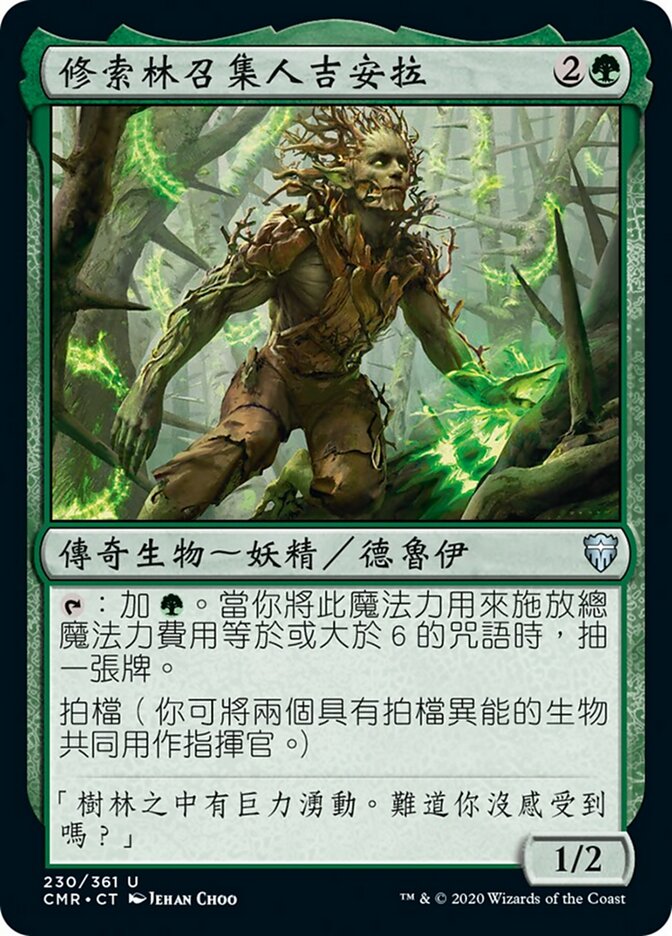 修索林召集人吉安拉