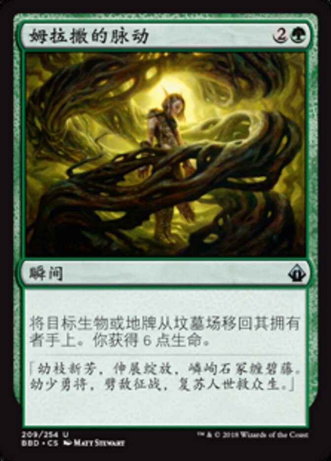 姆拉撒的脉动