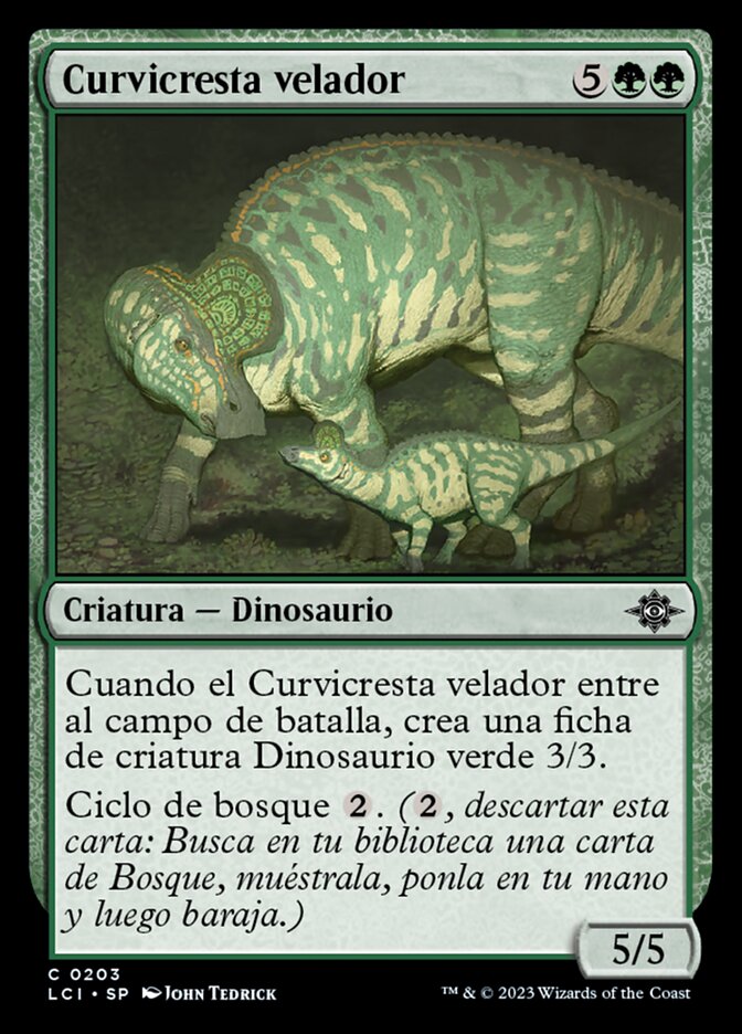 Curvicresta velador