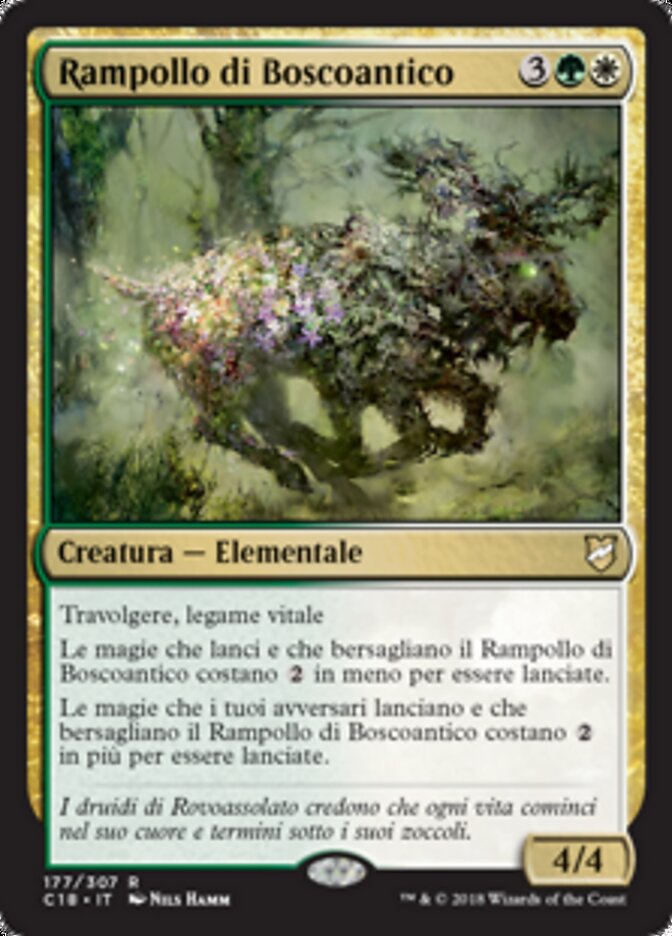 Rampollo di Boscoantico
