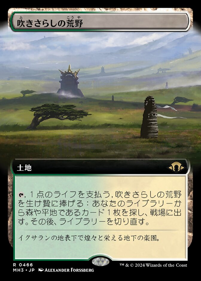 吹きさらしの荒野