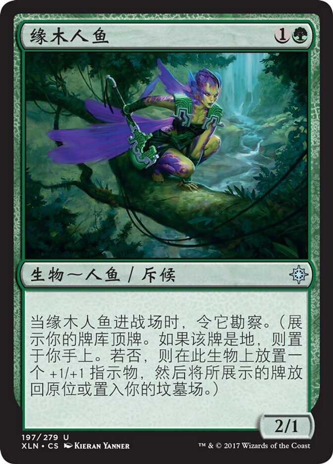缘木人鱼