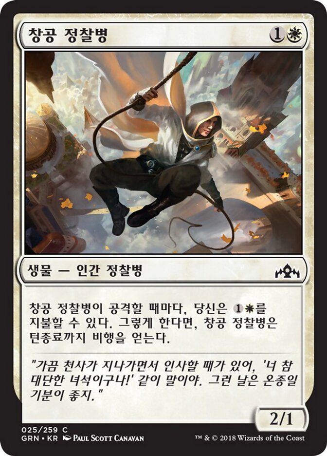 창공 정찰병