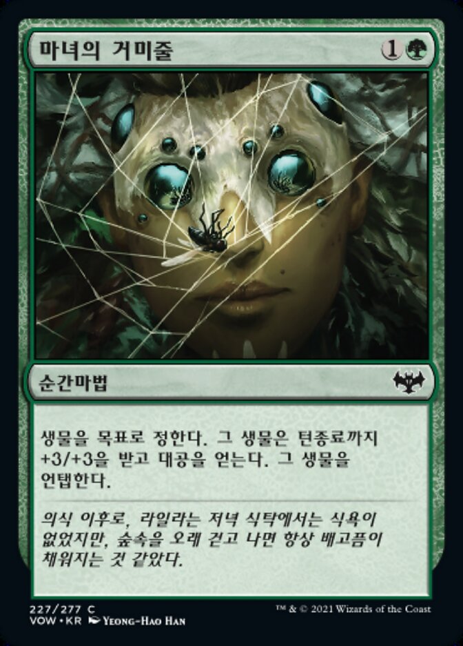 마녀의 거미줄